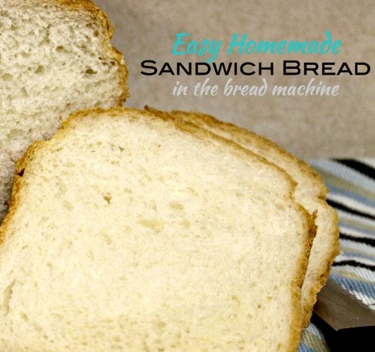 Sanyo The Bread Factory Plus Recipes: Discover Delicious and Easy Bread Recipes with Sanyo's Bread Machine